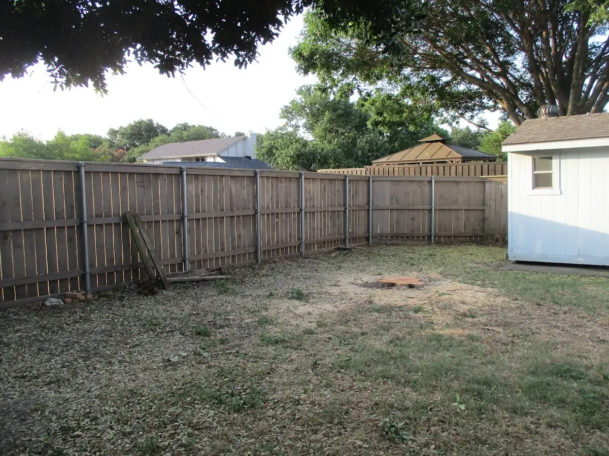 Cleared yard after professional tree removal in Keyport