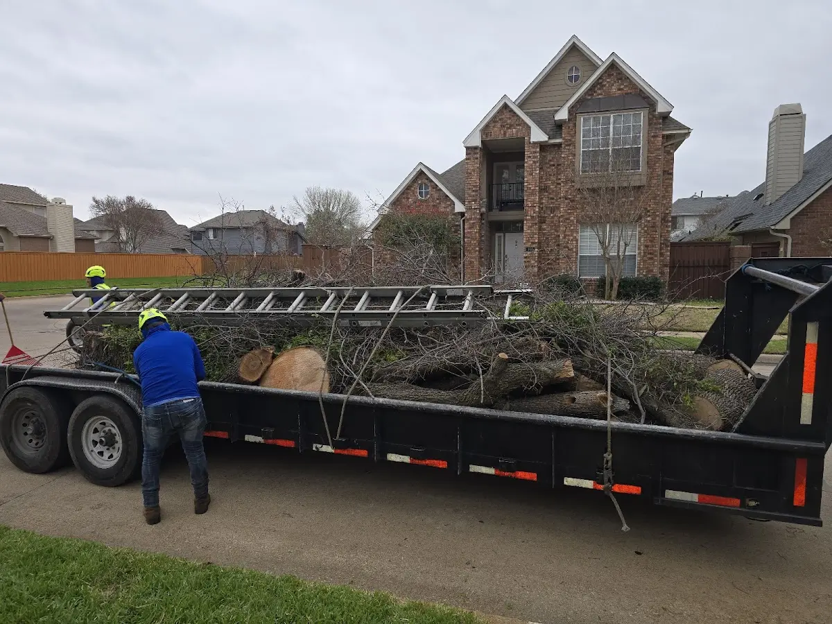 Expert Tree Removal with proper safety equipment in Keyport